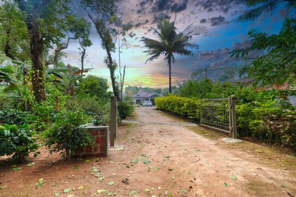 Galimale Homestay estate driveway and garden