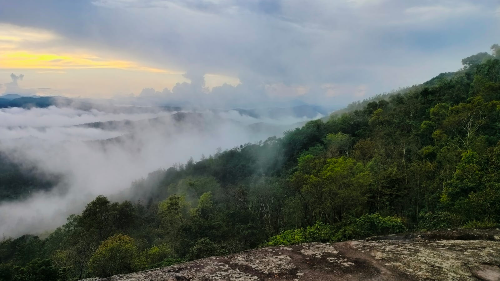 Forest and clouds near the private trekking spot